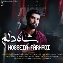 آهنگ جدید حسین فرهادی به نام شاه دلم